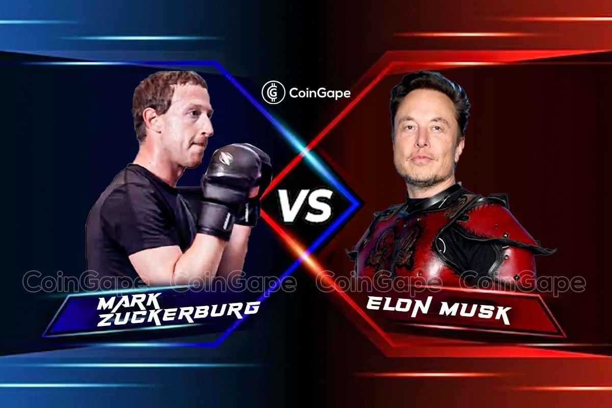 Elon-Musk-vs-Mark-Zuckerburg-fight.jpg