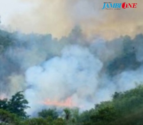 titik-panas-kebakaran-hutan-di-sumatra-_121002112348-849.jpg