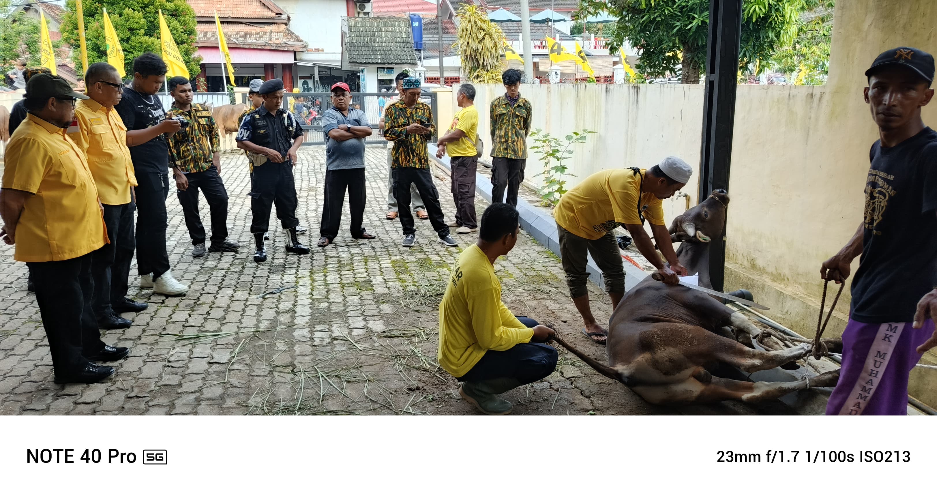 DPD Partai Golkar Provinsi Jambi Kurban 8 Ekor Sapi di Hari Raya Idul Adha 1446 H